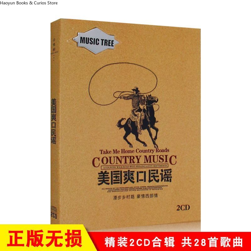 Amerykańska muzyka country 2CD – Audio Music New Song recenzja i cena